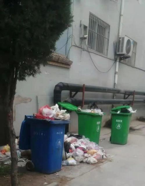 临汾小区最新爆料,揭秘神秘事件背后的真相  第3张