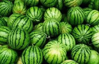 吃瓜资源群免费,免费畅享娱乐盛宴的秘密通道 第2张 吃瓜资源群免费,免费畅享娱乐盛宴的秘密通道 第2张