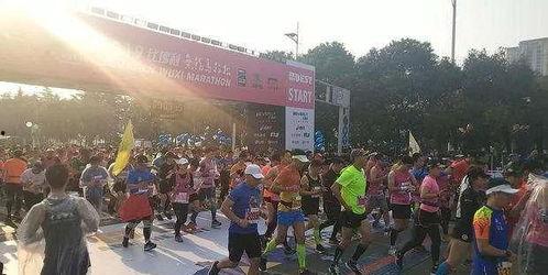 井陉马拉松爆料最新消息,赛事精彩瞬间与亮点速览 第2张 井陉马拉松爆料最新消息,赛事精彩瞬间与亮点速览 第2张