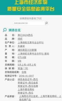 网红吃瓜网站网址免费看,免费畅享热门八卦，一网打尽娱乐圈动态  第3张