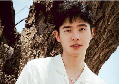 刘昊然爆料八卦视频合集,揭秘娱乐圈幕后那些事儿  第1张