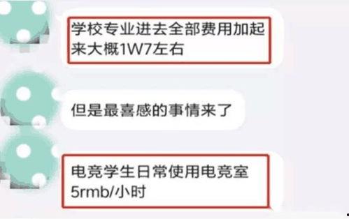 高招爆料最新,政策调整与热门专业解析  第3张